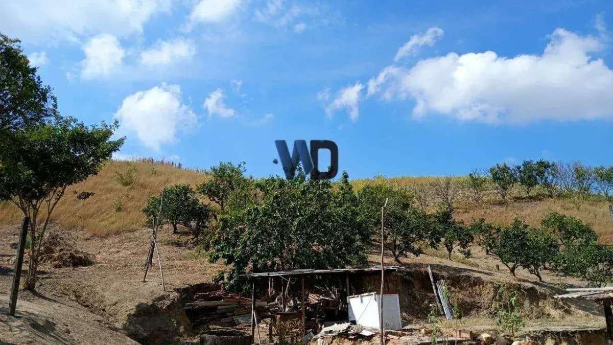 Área para plantio com 250.000m²