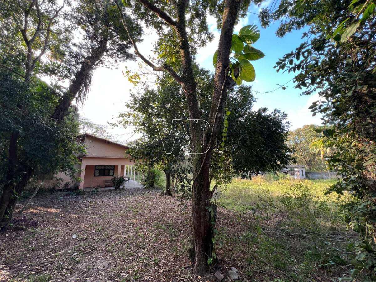 Vendo 2 lotes planos e murados - Vila Rica - 20.000m²